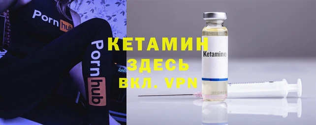 крисы Алзамай