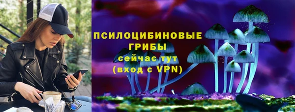 мяу мяу кристалл Алексин
