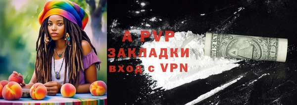 крисы Алзамай