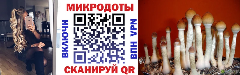 купить  сайты  Змеиногорск  Галлюциногенные грибы прущие грибы 