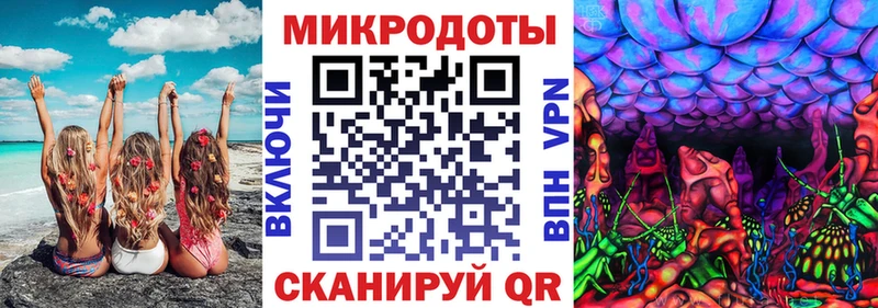 Псилоцибиновые грибы мицелий Змеиногорск